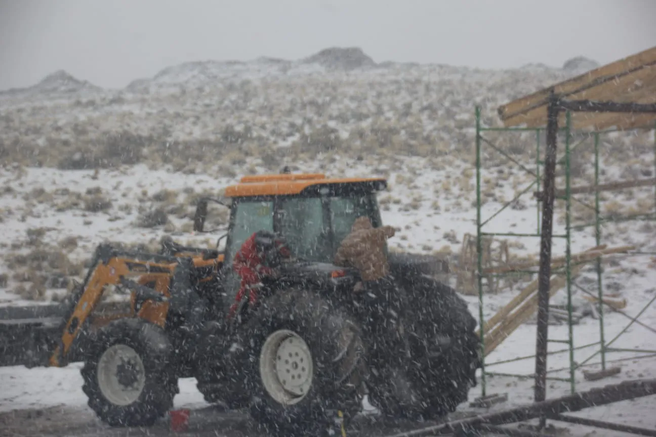 Bajo cero y a puro oficio  (14)
