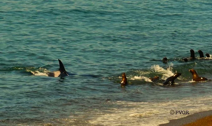 429528882_18071860459475935_9158121508403923226_n