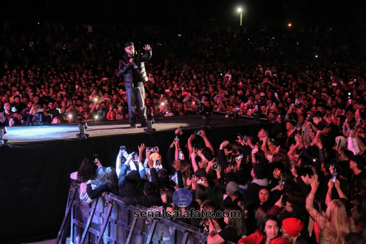 WhatsApp Image 2024-02-13 at 23.51.21