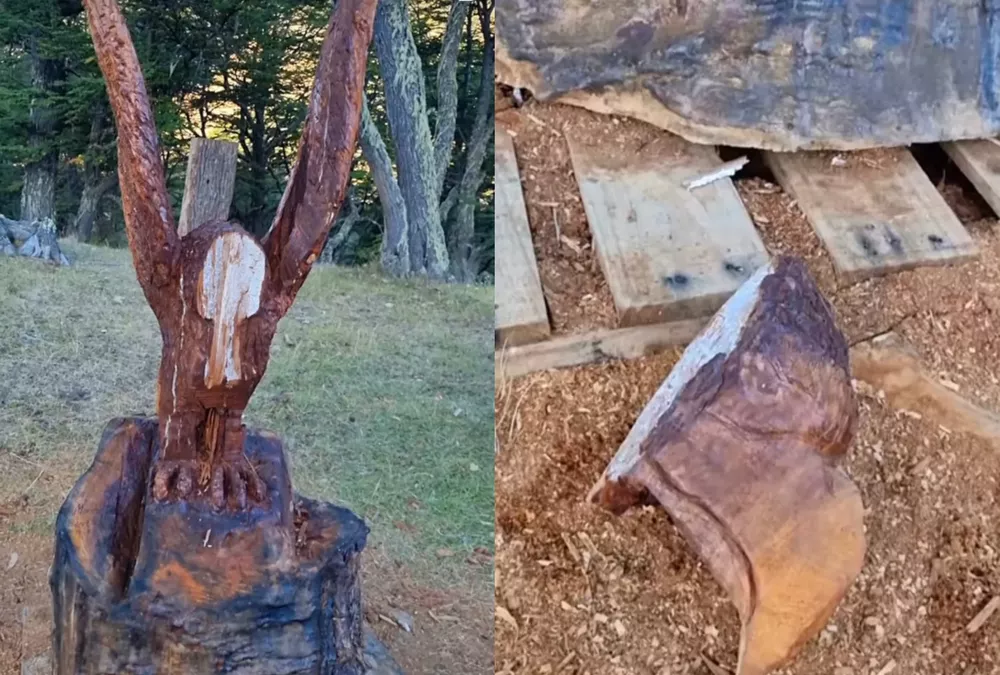 marcos barri decapitado