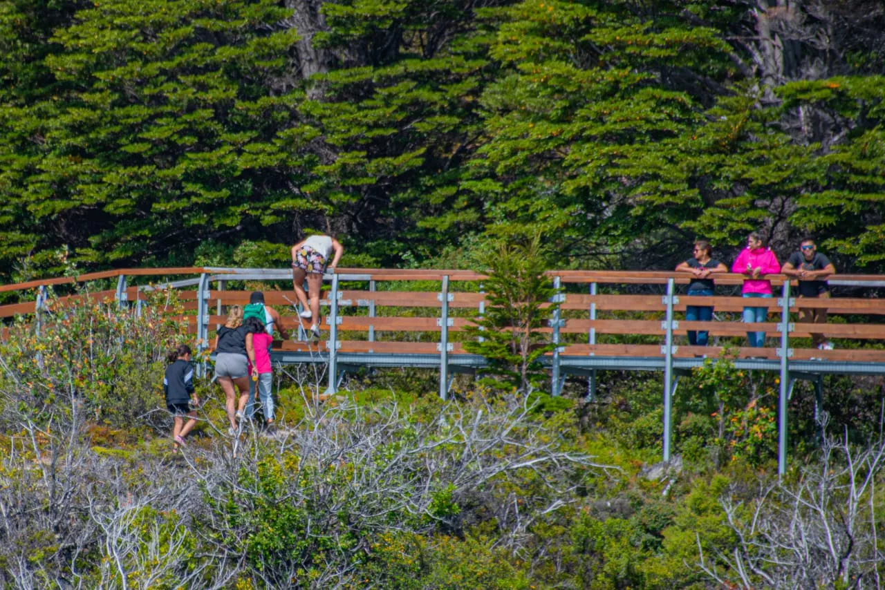 WhatsApp Image 2023-01-29 at 19.47.52 (1)