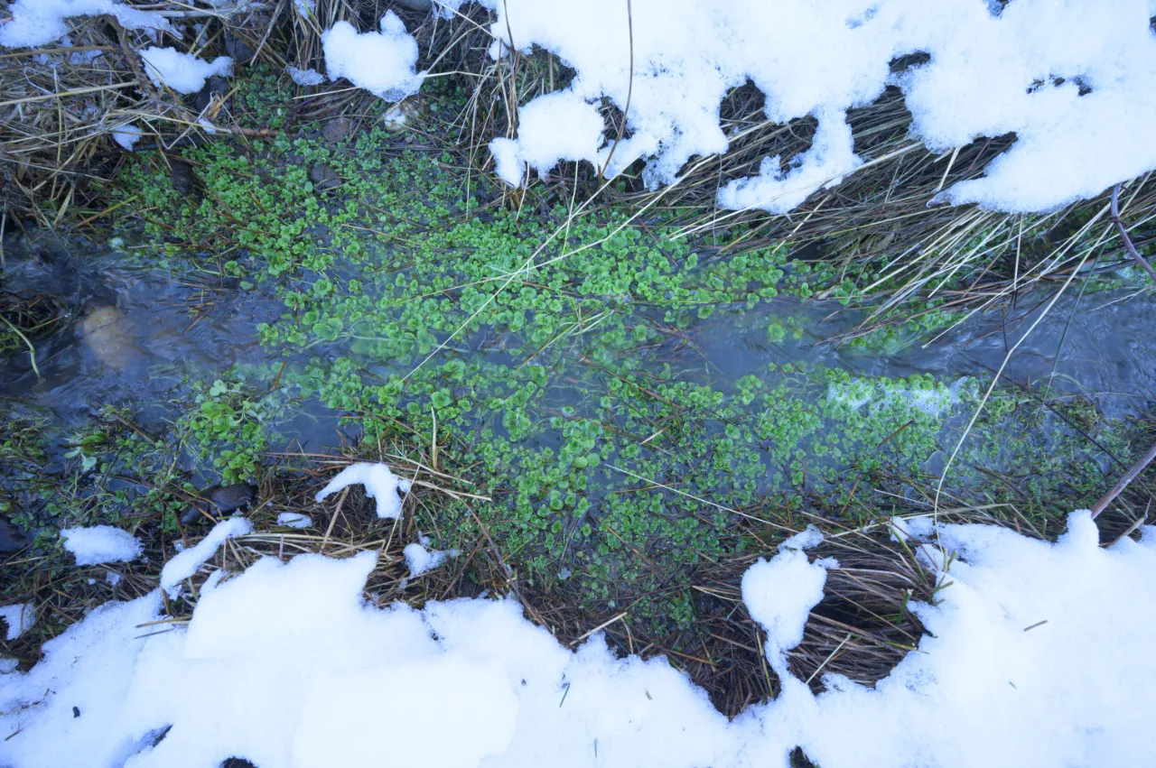 6b6acaf2-7510-4a87-90f1-ba9c474f3f5c