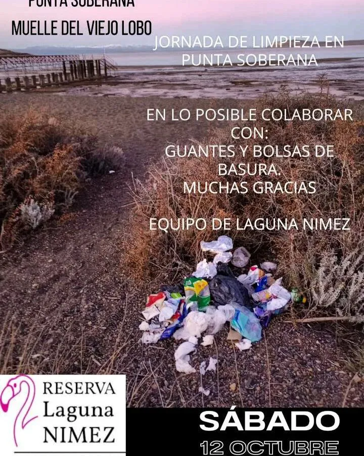 multimedia.normal.8932b718edd7b397.NDYyNDUyNzQyXzE4Mjg4OTYwMDk0MjMxOTc3XzQyMTZfbm9ybWFsLndlYnA=