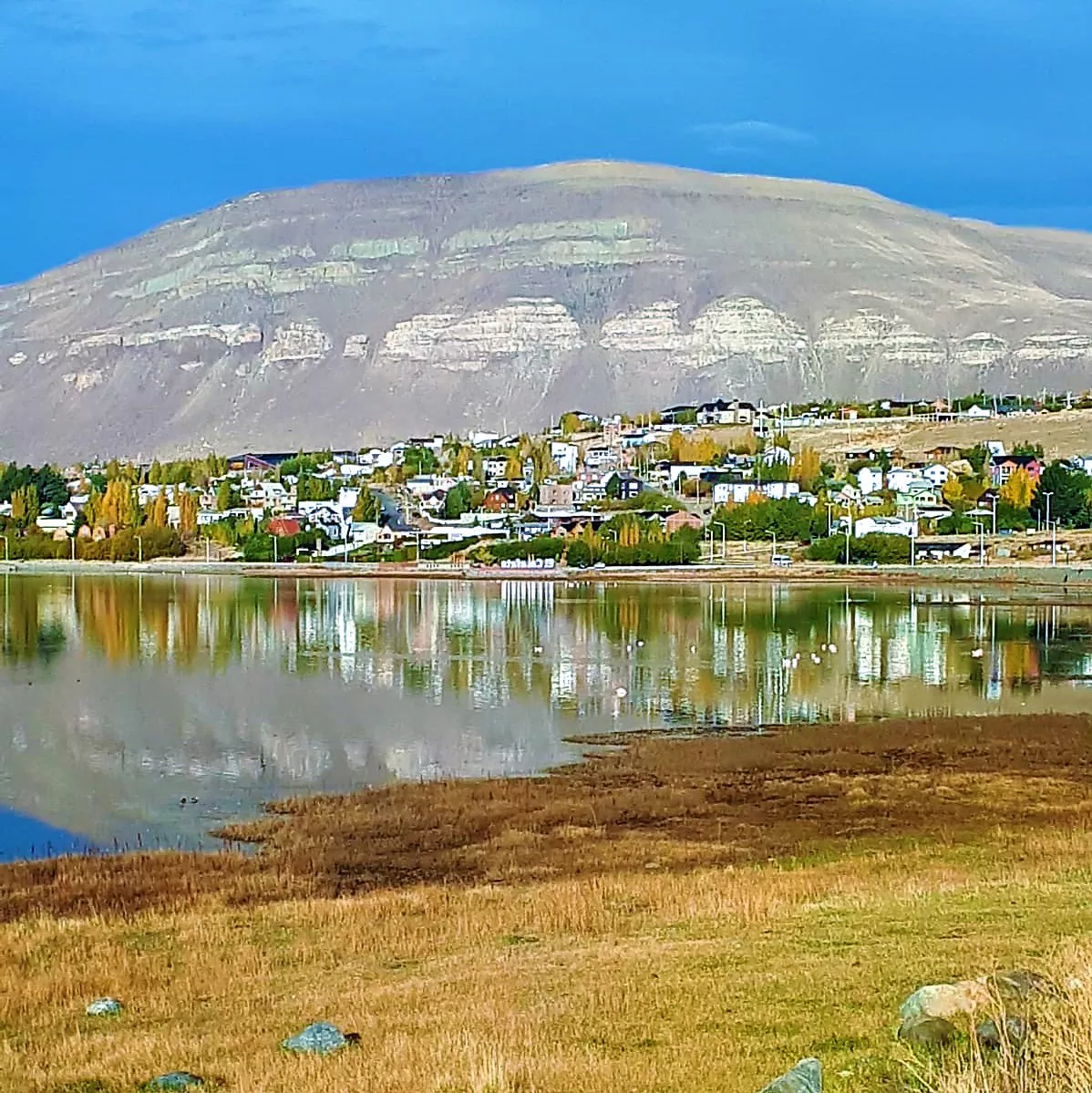 WhatsApp Image 2022-10-27 at 09.17.05