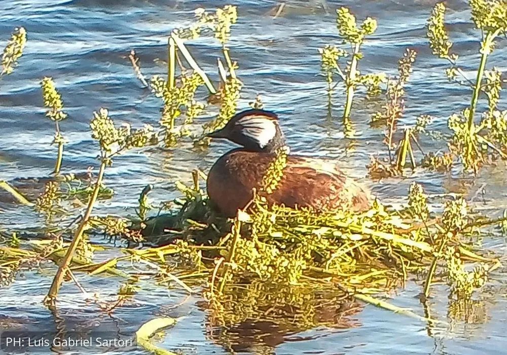 430685797_700540172289185_1984971037947481065_n