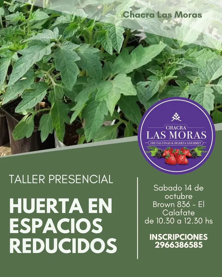 387754431_1015313203187554_4941902654143693417_n