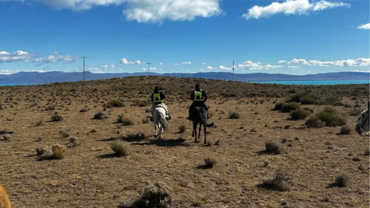 WhatsApp Image 2025-02-26 at 09.45