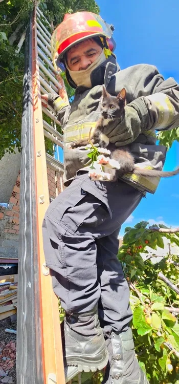 WhatsApp Image 2024-01-08 at 19.52.39