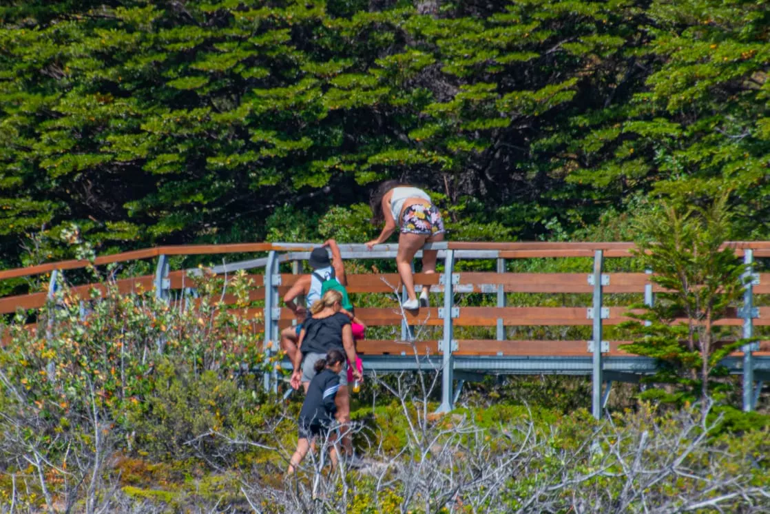 WhatsApp Image 2023-01-29 at 19.47.53