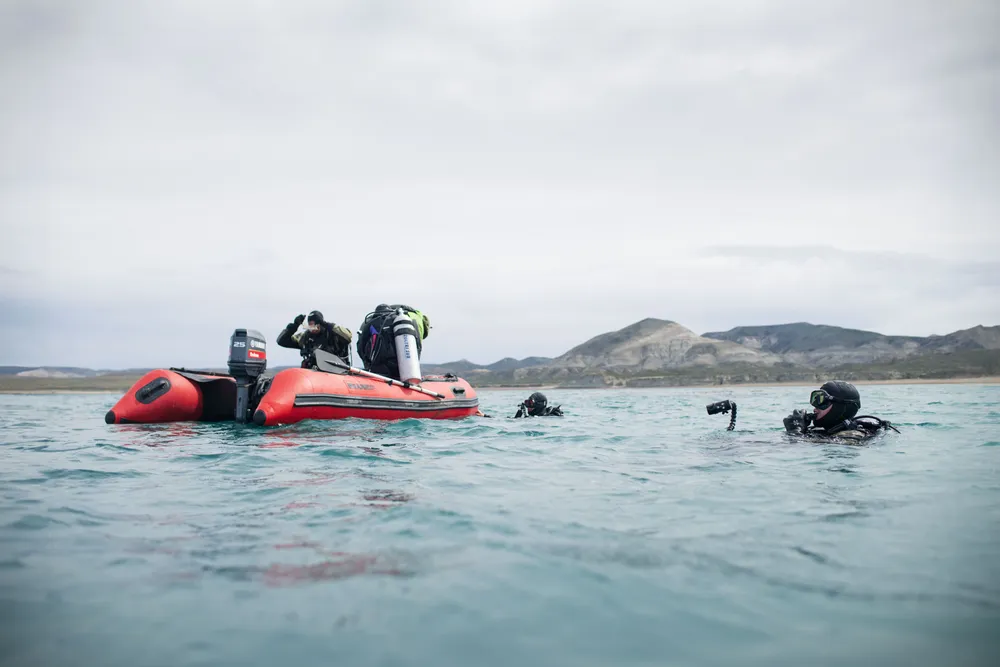 macroalgas monte leon1