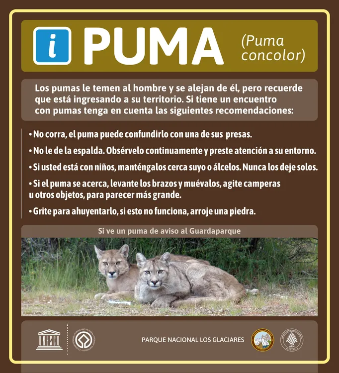 normas puma