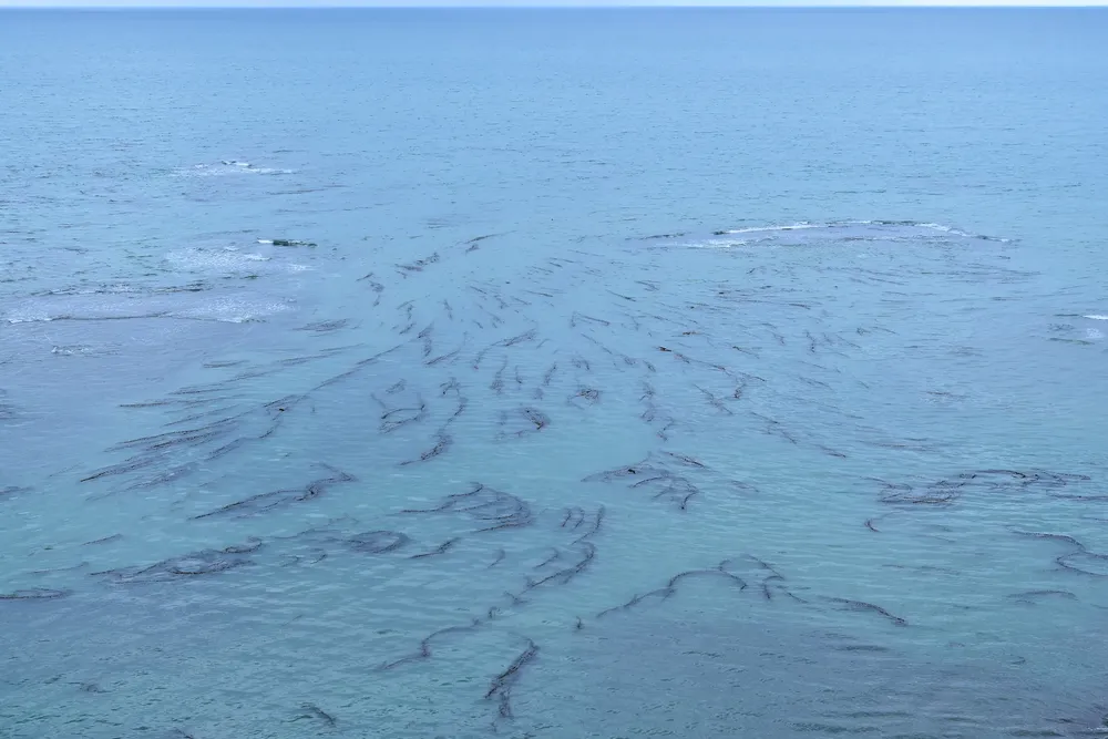 4. Surf en Monte León - cortesía de Maxi Martínez