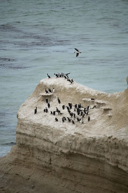 06 - PN Monte León - foto de Lautaro March 10