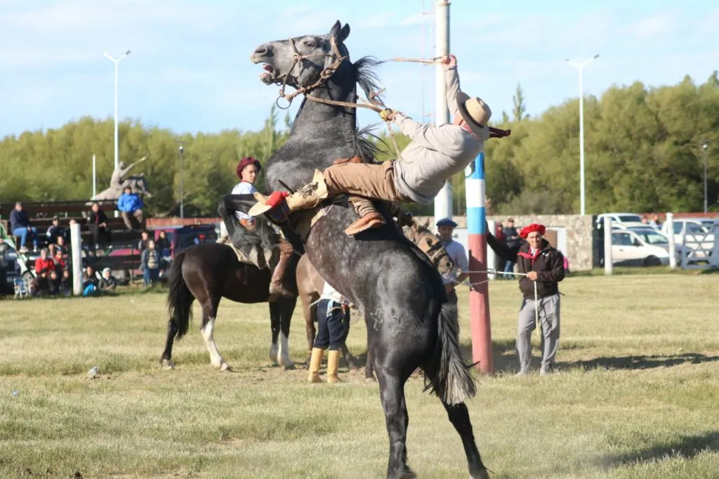 468854934_990115329828070_4087623093635690106_n-1024x682