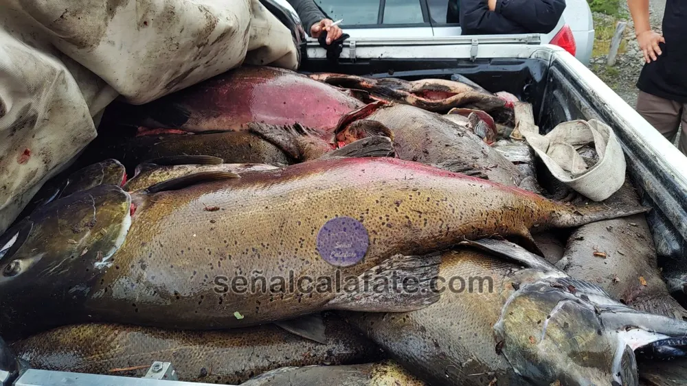 WhatsApp Image 2026-03-16 at 19.27.13