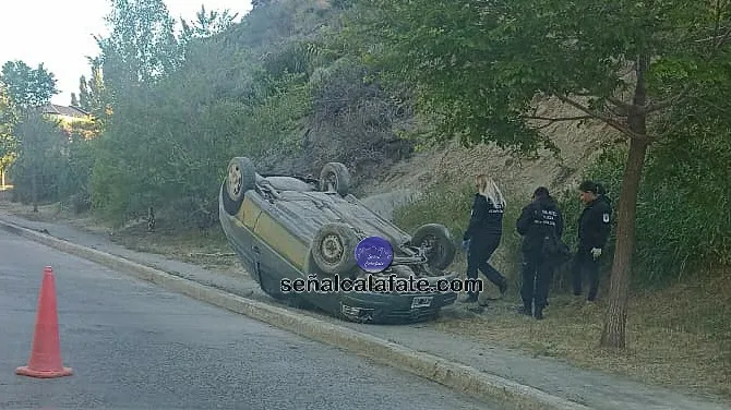 WhatsApp Image 2024-12-28 at 08.10.39