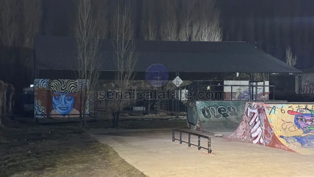 skate2