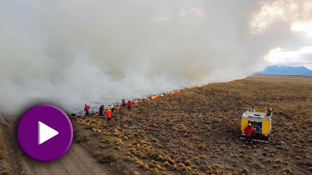 dji_fly_20250302_195422_505_1740956369976_photo_optimized