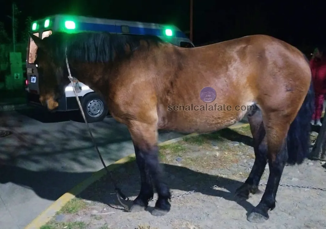 PHOTO-2024-04-16-21-08-01 2