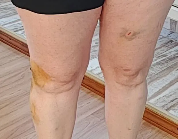 486529914_3226860174119796_7802008628284763209_n