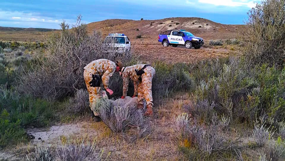 Abigeato Puerto Deseado