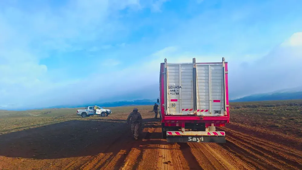 WhatsApp Image 2024-09-11 at 10.36.05