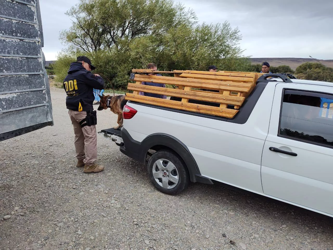 WhatsApp Image 2023-03-09 at 20.23.56