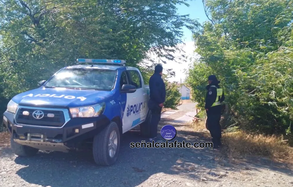 WhatsApp Image 2024-01-14 at 16.49.59