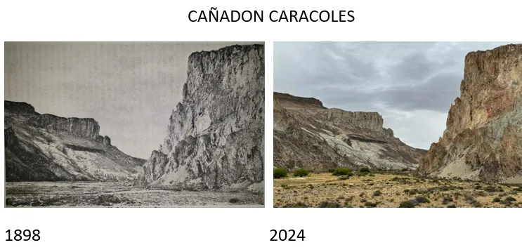 COMPARATIVAS 1