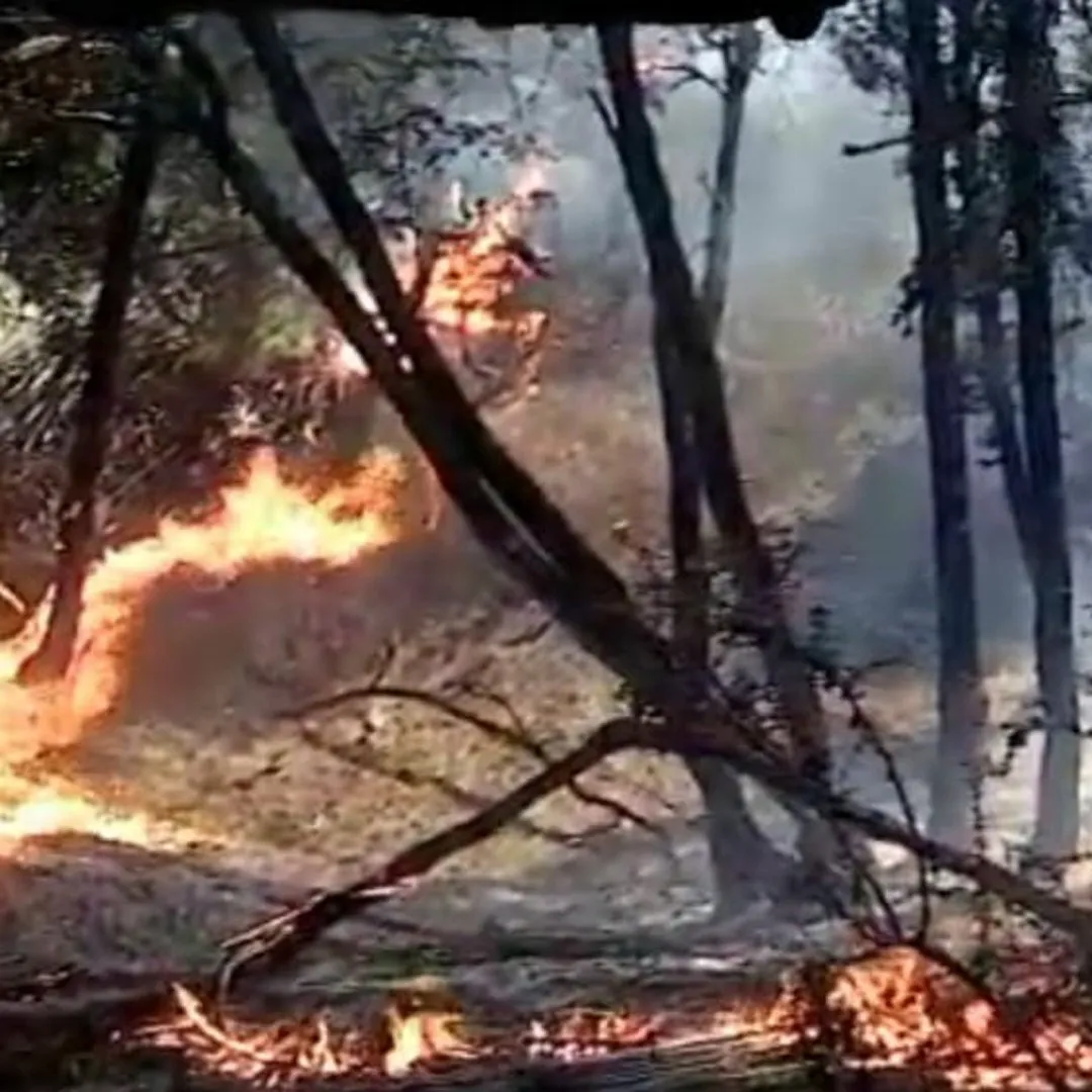 426152449_403120065554470_6958039321518161479_n