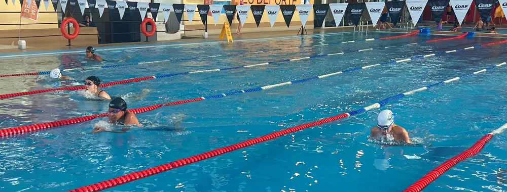 PHOTO-2025-04-12-20-12-41