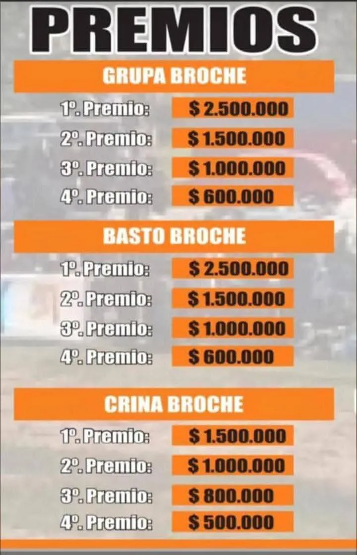 WhatsApp Image 2025-10-23 at 5.37.37 PM