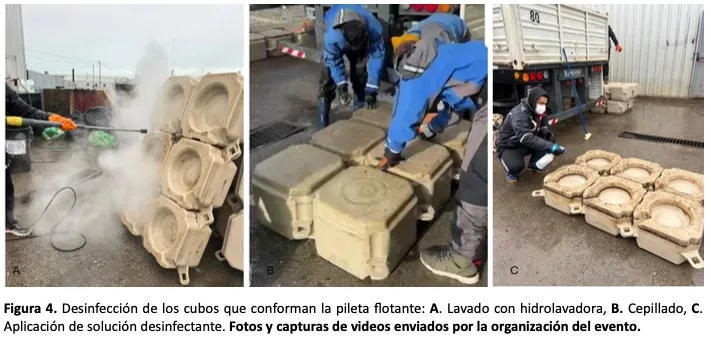 Captura de Pantalla 2024-08-24 a la(s) 11.46.32