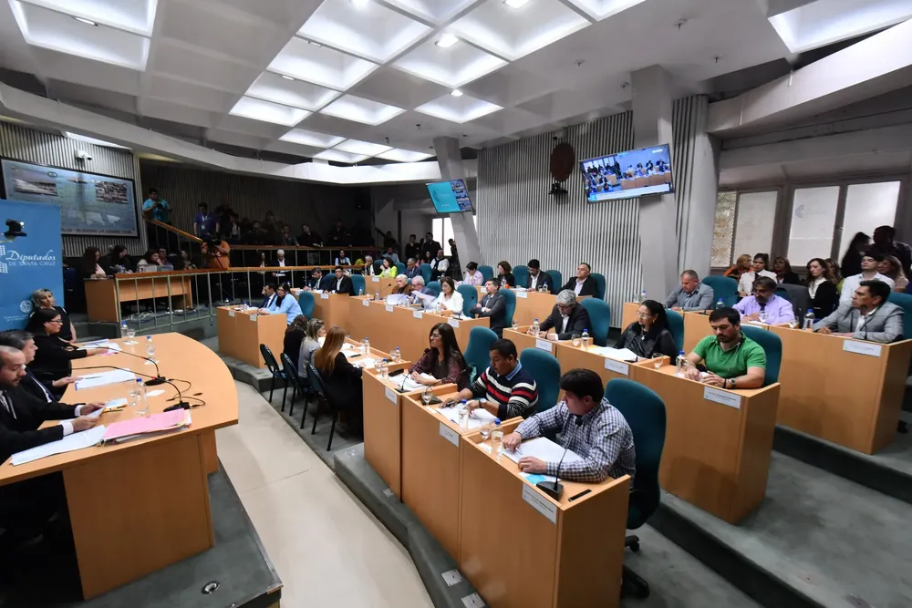 diputados santa cruz