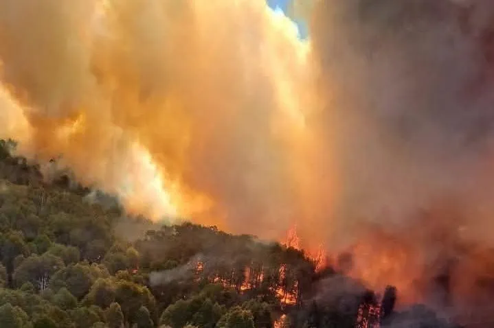 Incendio Nahuel Huapi5