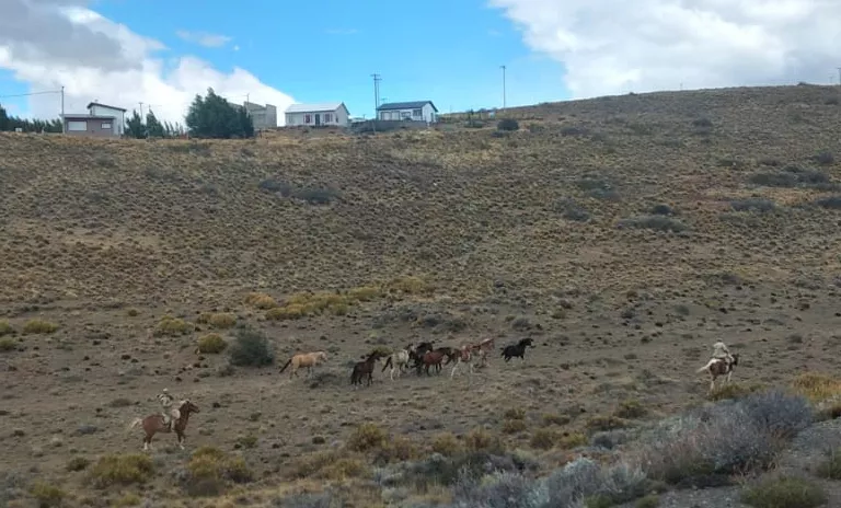 WhatsApp Image 2023-01-26 at 13.16.21