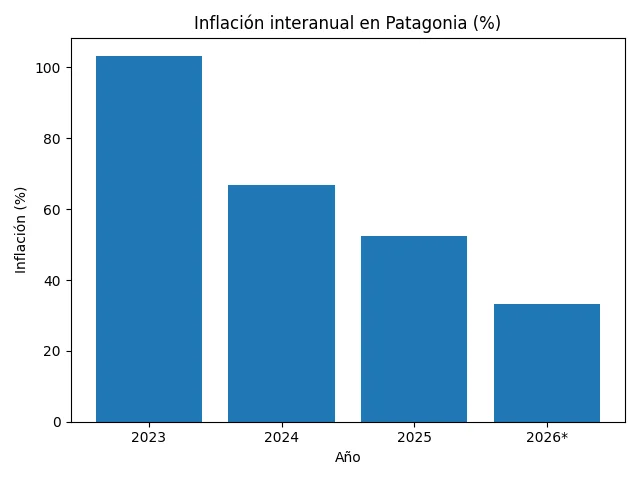 infografia_inflacion_patagonia_anual_2026