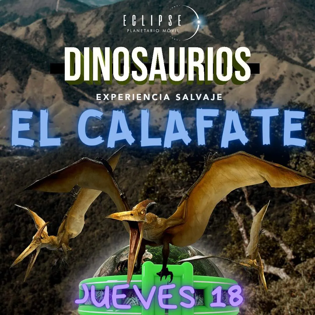 WhatsApp Image 2024-01-15 at 20.14.55