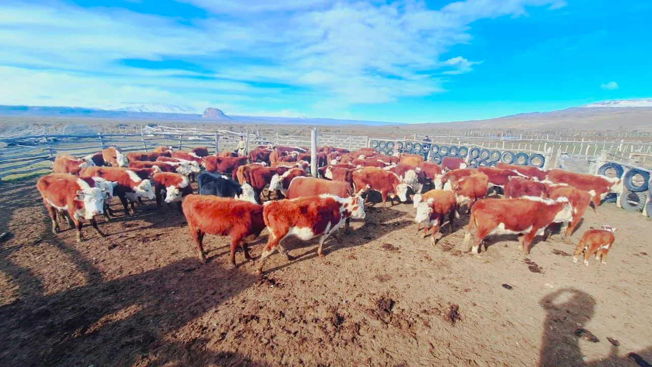 WhatsApp Image 2024-09-11 at 10.36.03