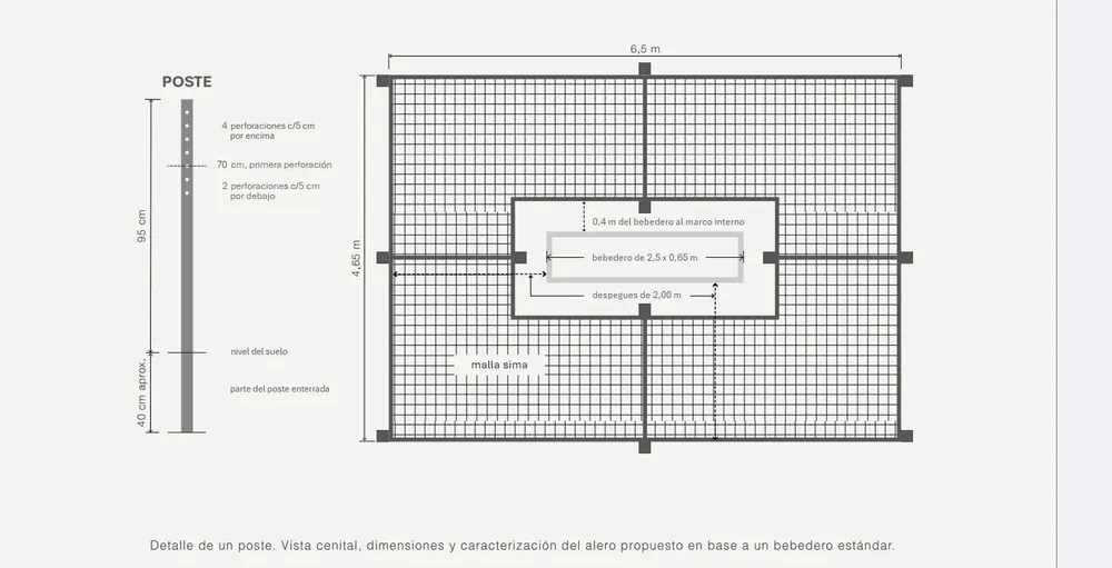 bebedero1