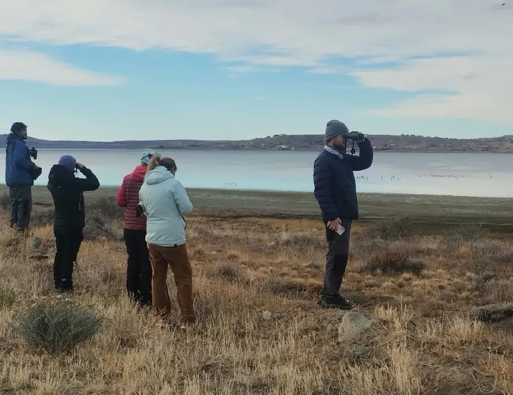 El día sábado 10 de mayo se celebró el Gran Día Mundial   (Global Big Day) de observación de Aves.   Desde temprano, los equipos de Laguna Nimez, Parque Nacional Los Glaciares, Club de Observadores de Aves  (5)