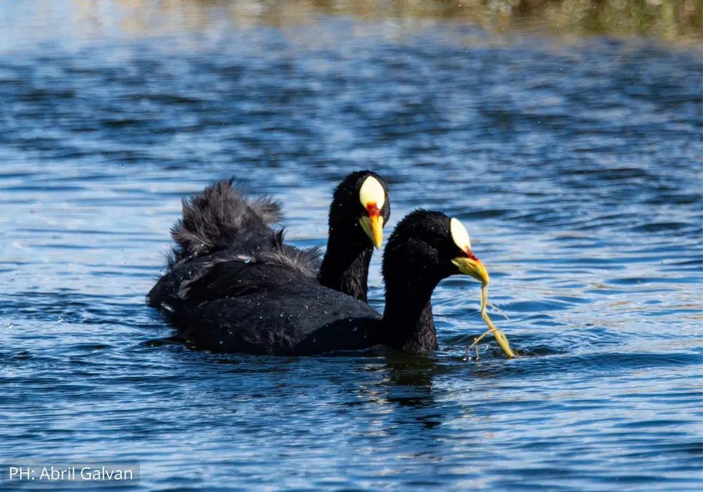 430685718_700540182289184_3305221808606261576_n