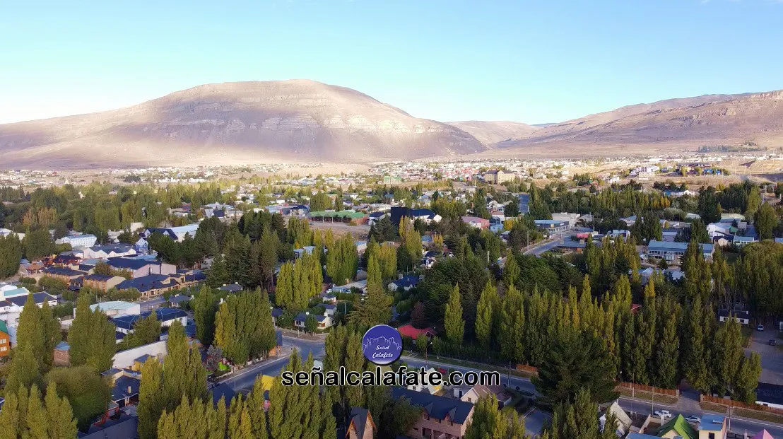 Calafate1