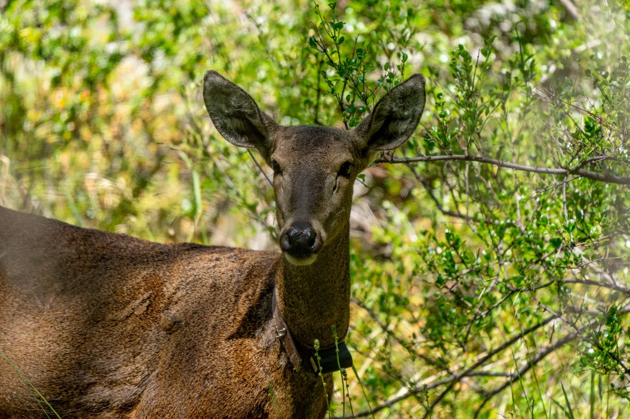 a44d9f21-1519-4274-a091-5efe3525d80b