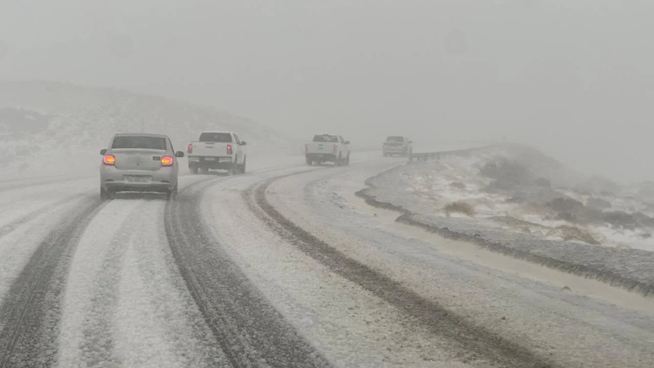 PHOTO-2026-04-02-18-02-14