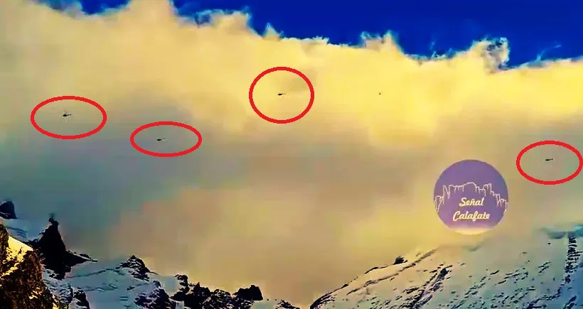 multimedia.normal.9eb768a59185d0dc.Q2FwdHVyYSBkZSBQYW50YWxsYSAyMDI0LTAzLTI4IGFfbm9ybWFsLndlYnA=