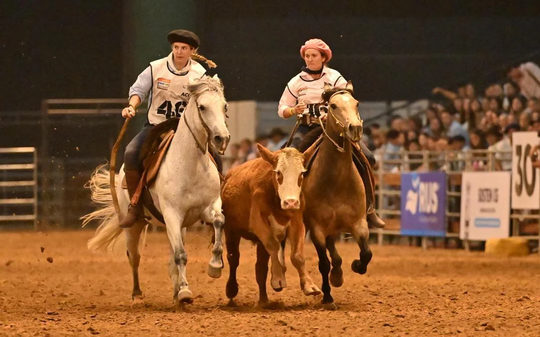 WhatsApp Image 2026-03-29 at 10.08.31 PM