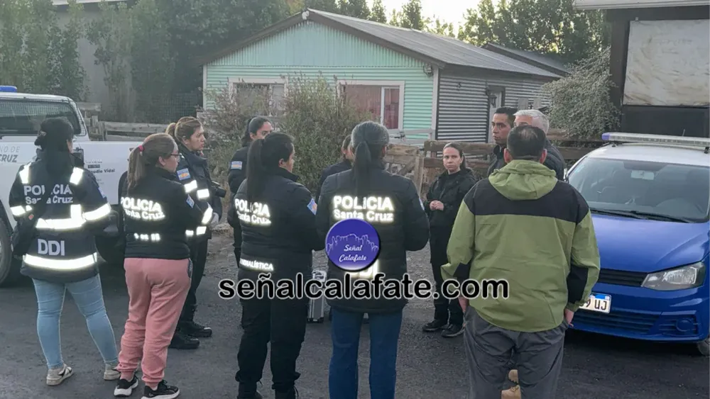 WhatsApp Image 2026-01-02 at 22.23