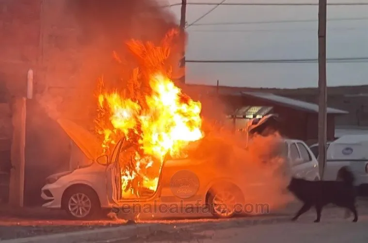 abfdc717-6631-4841-8e92-98d3843c6880