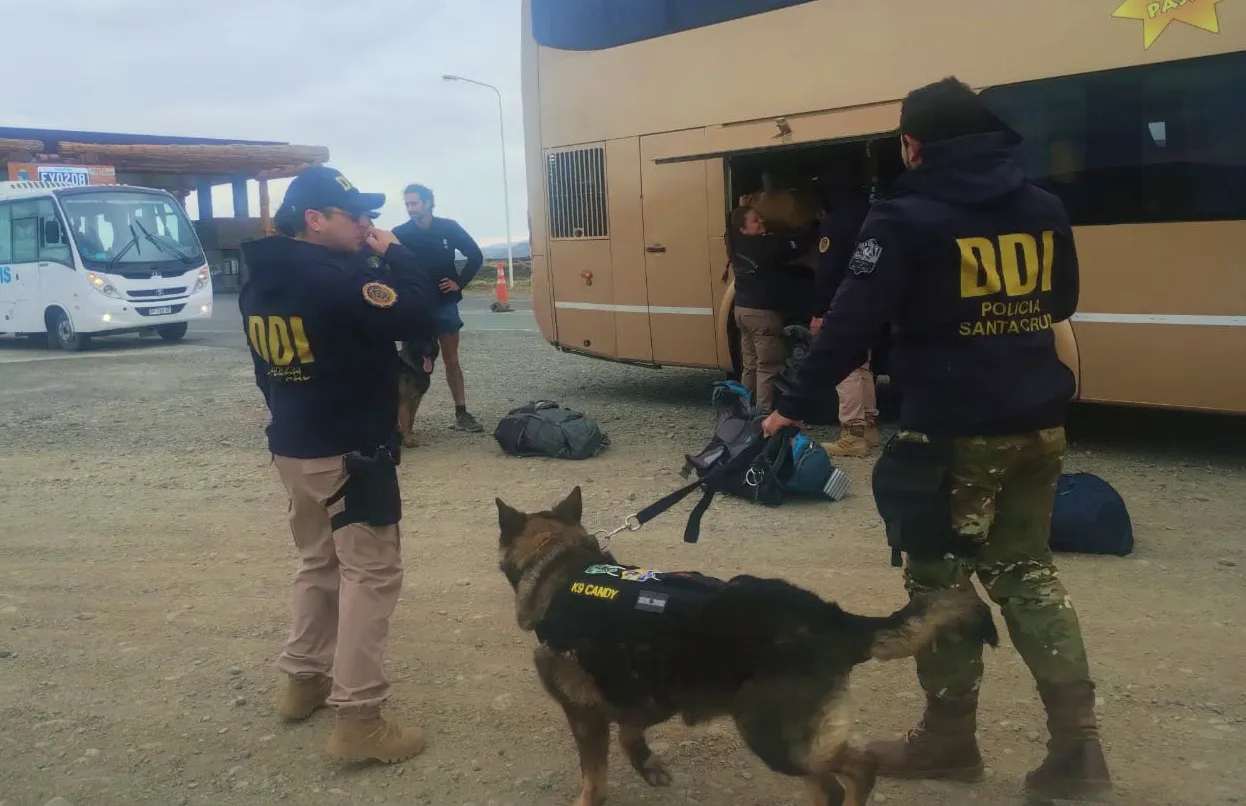 WhatsApp Image 2024-02-02 at 19.04.52